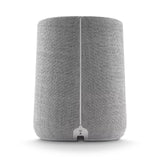 Harman Kardon Citation ONE Gris