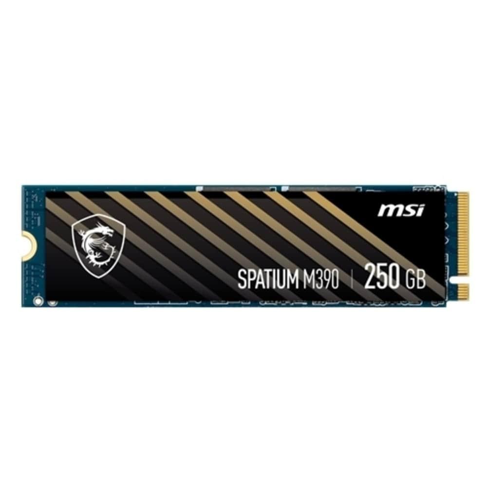 MSI Spatium M390 NVMe M.2 prix maroc- Smartmarket.ma