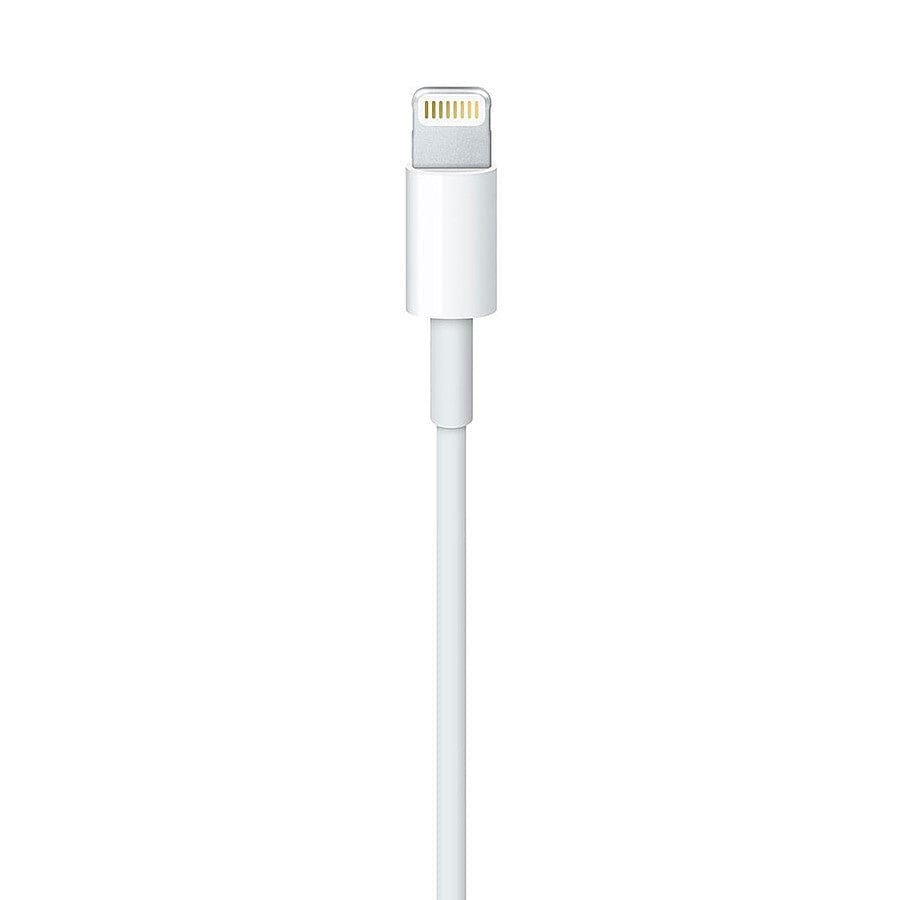 Apple Câble Lightning vers USB - 1 m prix maroc- Smartmarket.ma