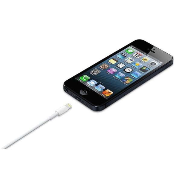 Apple Câble Lightning vers USB - 1 m prix maroc- Smartmarket.ma
