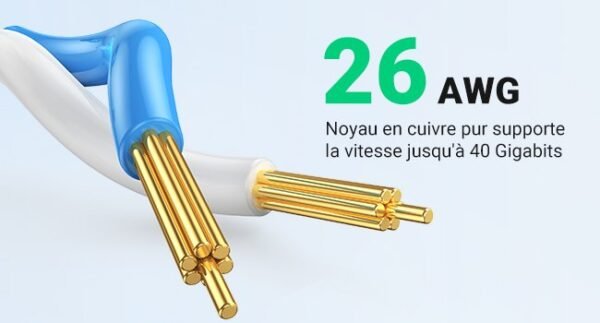 1be161e4-e914-4e73-a4cf-e61c41ce7546.__CR00650350_PT0_SX650_V1___