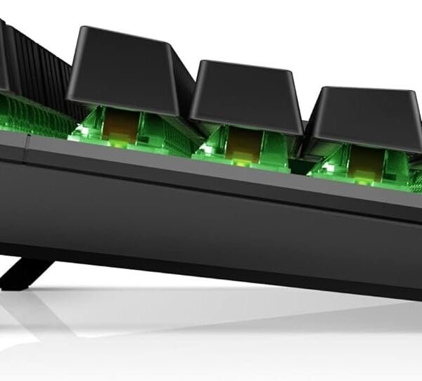 51sSAoKQqL._AC_SL1500_