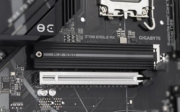 800-z790-eagle2