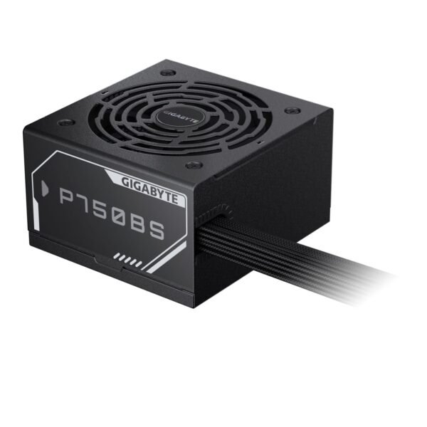 Gigabyte P750BS - 750W (4)