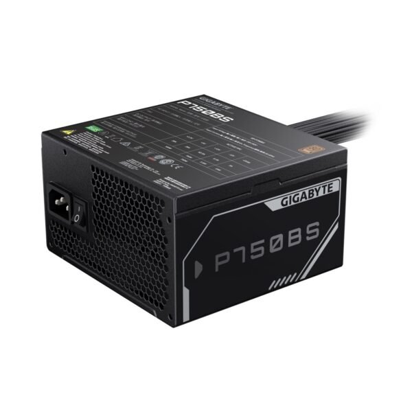 Gigabyte P750BS - 750W (5)