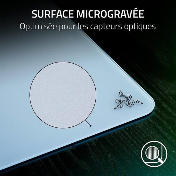 MN0006076578 MN0006076578
