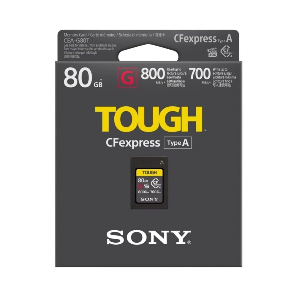 Sony Carte Mémoire CFE Type A Ref CEA-G80T 80GB (1)