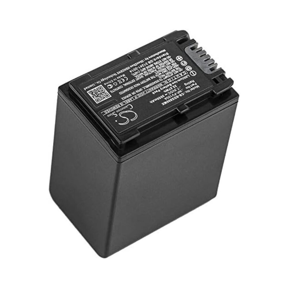 Sony NP-FV100A - Batterie (5)