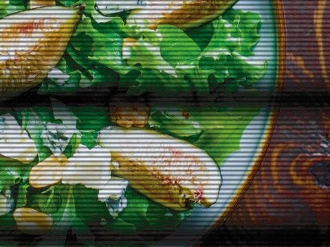 Without_Flicker-free_Technology_480x480