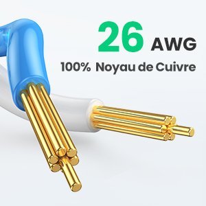 cb9b157a-2c88-418c-969d-0a4f40c9fc1e.__CR00300300_PT0_SX300_V1___