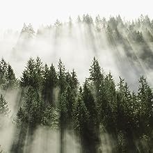 f48ac46b-7ff3-4fd1-8a79-794f3c2e8f13.__CR0_12_577_577_PT0_SX220_V1