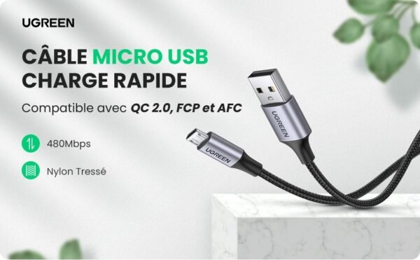 fc59098d-a3ae-4e00-941e-d28c354b1a33.__CR00970600_PT0_SX970_V1___